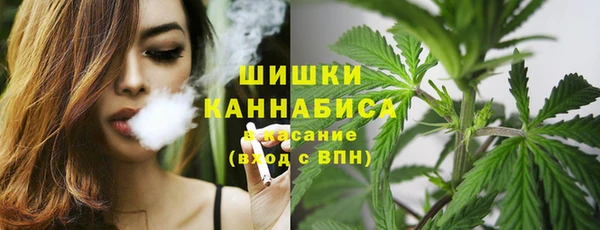 меф Медногорск